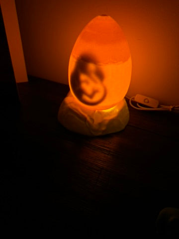 Dinosaur Egg Light - With Baby Dinosaur Inside - LED Light Night Light / Shelf Light