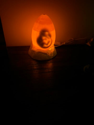 Dinosaur Egg Light - With Baby Dinosaur Inside - LED Light Night Light / Shelf Light