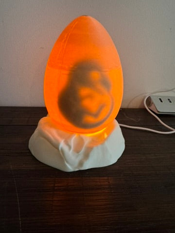 Dinosaur Egg Light - With Baby Dinosaur Inside - LED Light Night Light / Shelf Light