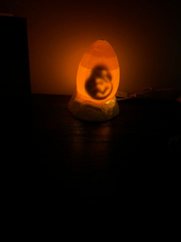 Dinosaur Egg Light - With Baby Dinosaur Inside - LED Light Night Light / Shelf Light