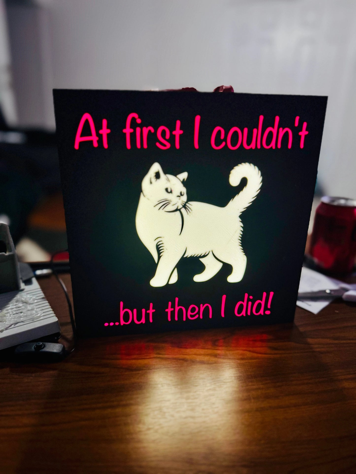 “At first i couldnt” inspirational cat poster - Light Up Sign / Night Light - Michael's 3D World