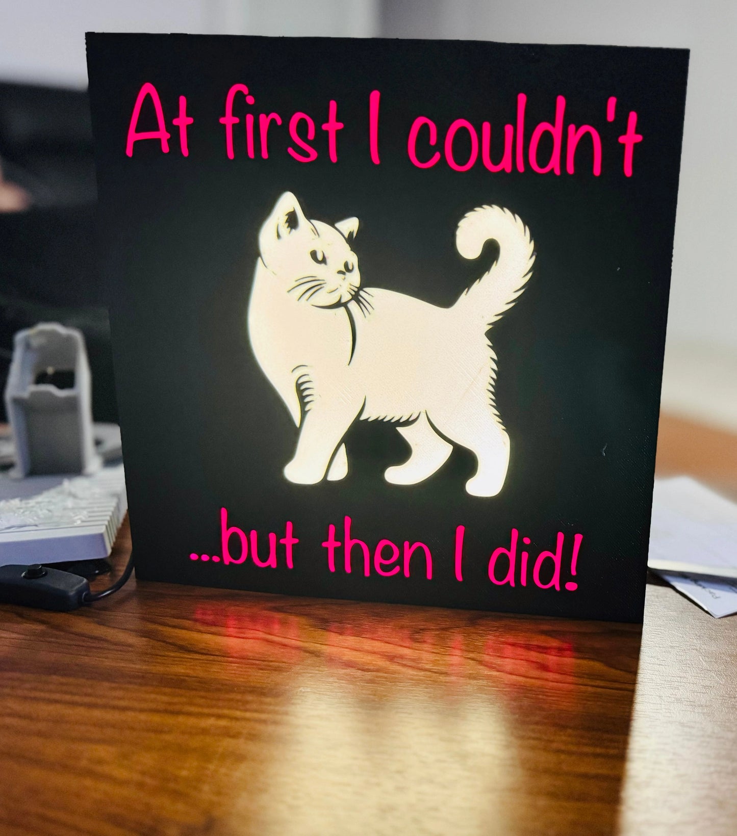 “At first i couldnt” inspirational cat poster - Light Up Sign / Night Light - Michael's 3D World