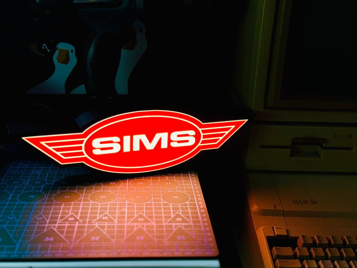 SIMS - Light up Logo / Sign - USB Powered - Michael's 3D World