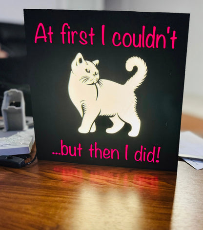 “At first i couldnt” inspirational cat poster - Light Up Sign / Night Light - Michael's 3D World